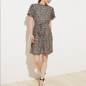 Leopard Print Tie Waist Flutter Dress